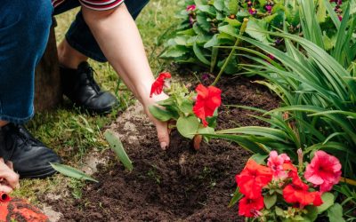 Does Home Insurance Cover Landscaping Damage?