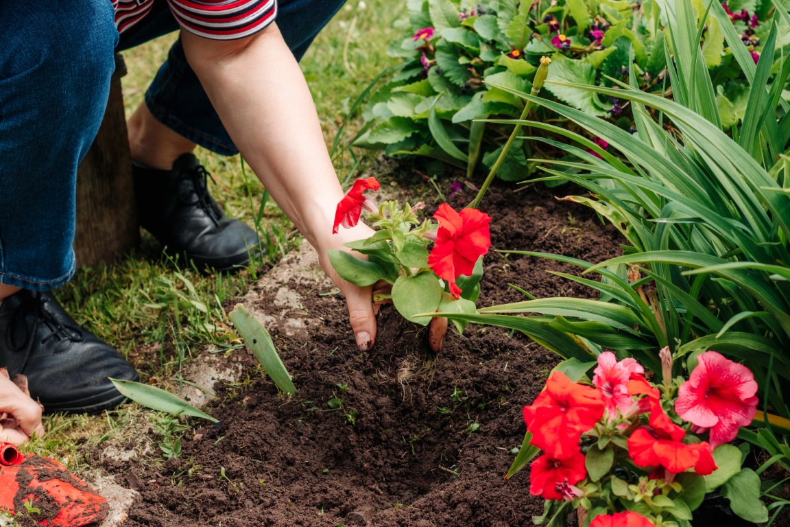 Hibbs Insurance | Does home insurance cover landscaping damage