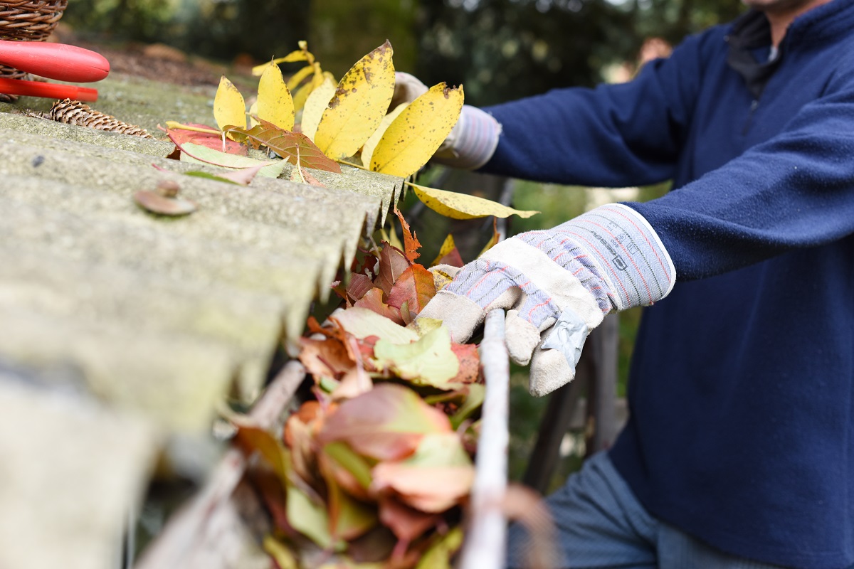 Hibbs Insurance | Fall Home Mainteannce
